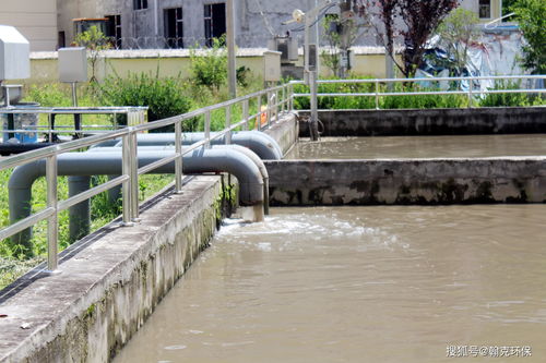 污水處理廠的活性炭吸附工藝